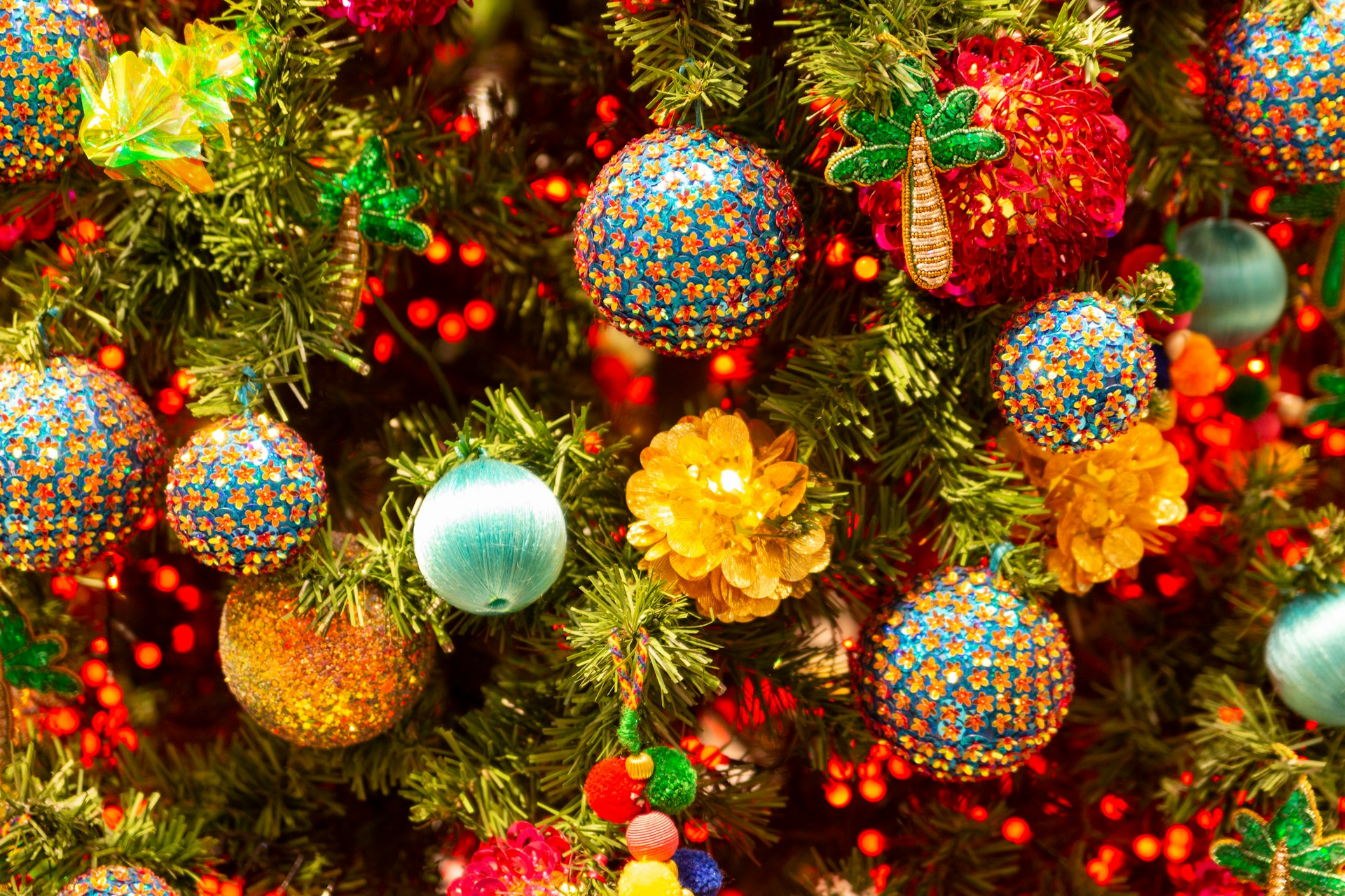 yellow and red flowers and green leaves